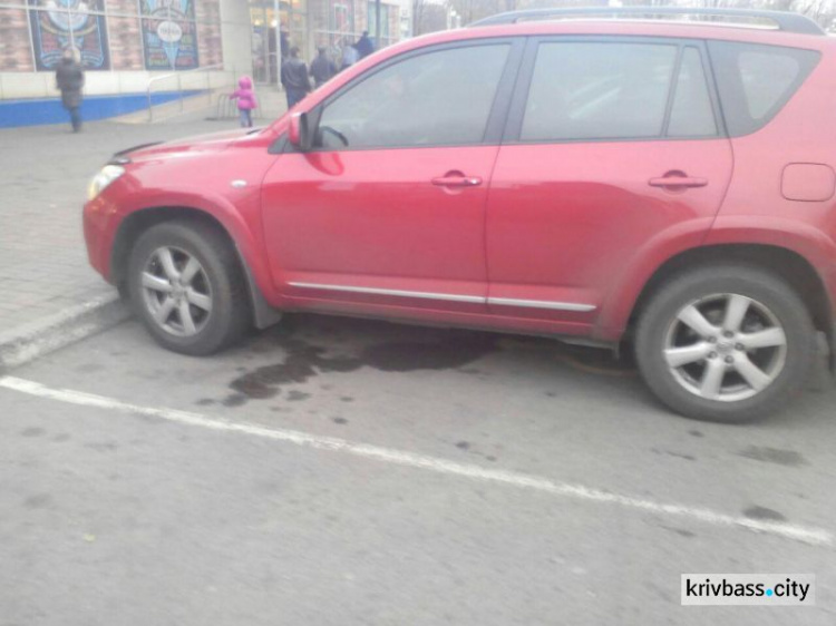 В Кривом Роге прошла акция в поддержку инвалидов-автомобилистов (ФОТО)