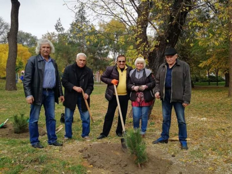 В Кривом Роге появилась сосновая аллея: в одном из парков города началась традиционная высадка деревьев (ФОТО)