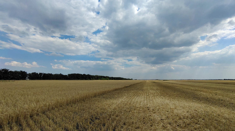 Фото редакції krivbass.city 