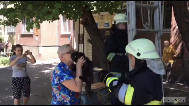 Спасительное "мяу": в Кривом Роге спасли жизнь маленькому питомцу (ВИДЕО)