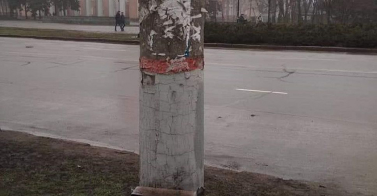 В Кривом Роге жители жалуются на оголенные провода на электроопорах (ФОТО)