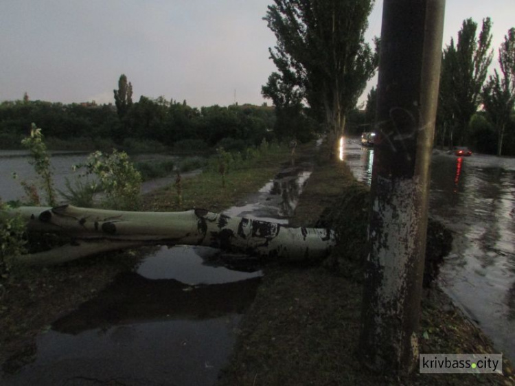 Кривой Рог приходит в себя после бури (фото)