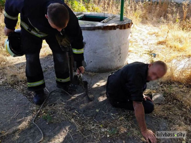 Фото пресс-службы ГСЧС Днепропетровской области