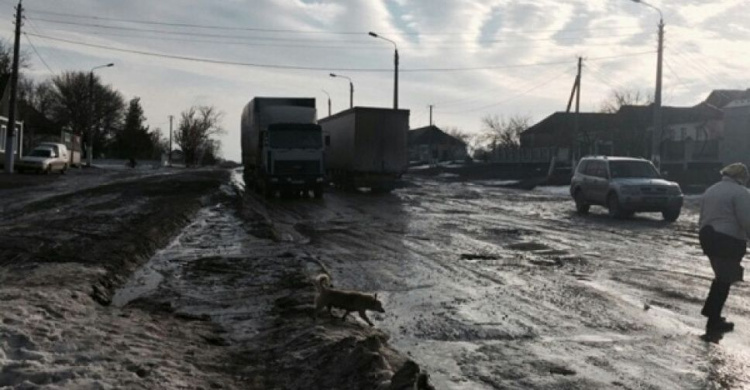 Ее разбило метеоритом, – водитель рейсового автобуса пожаловался на состояние трассы Кривой Рог-Николаев (видео)