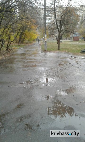 В Кривом Роге по Заречному бежит река из питьевой воды (ФОТОФАКТ)