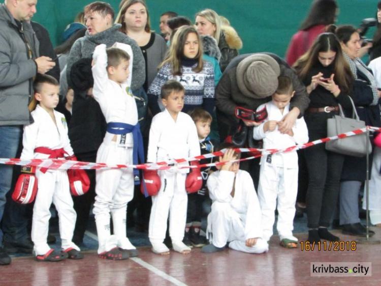 В Кривом Роге соревновались спортсмены-рукопашники (фото)