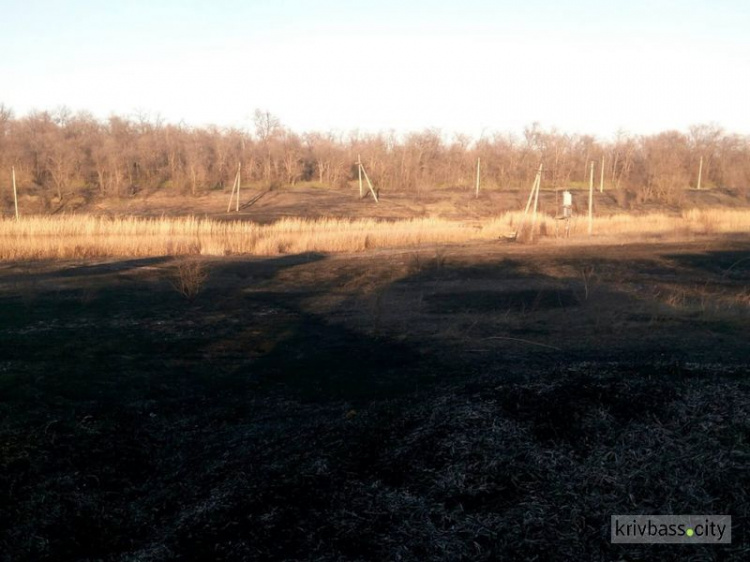 На пожаре в Кривом Роге пострадал мужчина