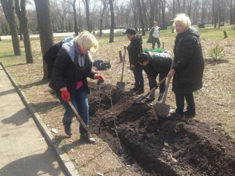 Криворожане высадили 200 кустов живой изгороди в городском парке (фото)