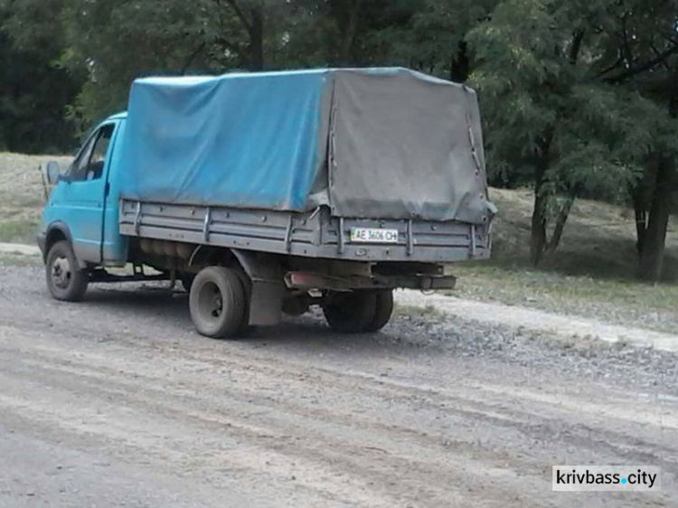 В Кривом Роге на карьере "Глееватский" избавились от 2 десятков собак