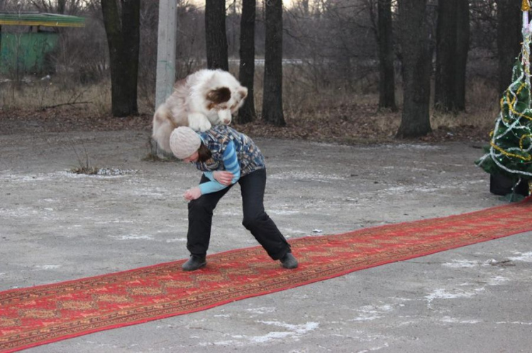 В Кривом Роге состоялся новогодний карнавал для собак (ФОТОРЕПОРТАЖ)