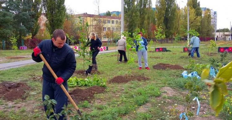 Жители одного из районов в Кривом Роге продолжают благоустраивать свой район (ФОТО)