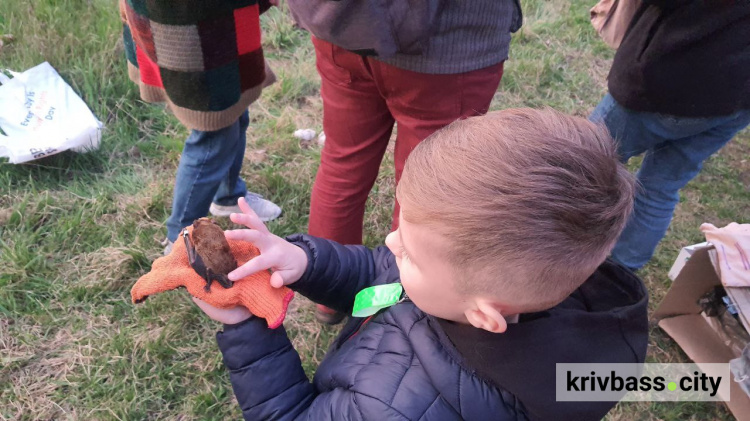 Волю криворізьким кажанам: волонтери випустили в природу кажанів, яких прихистили на зимівлю