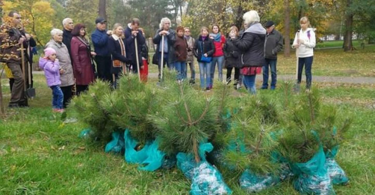 В Кривом Роге появилась сосновая аллея: в одном из парков города началась традиционная высадка деревьев (ФОТО)