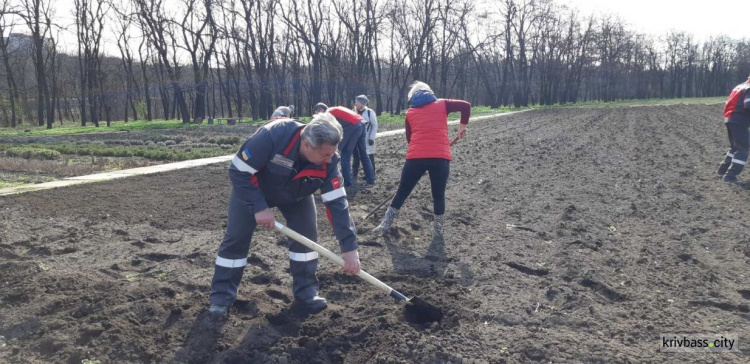 У ботанічному саду криворіжці проводять акцію «Посади 1 000 000 дерев!»