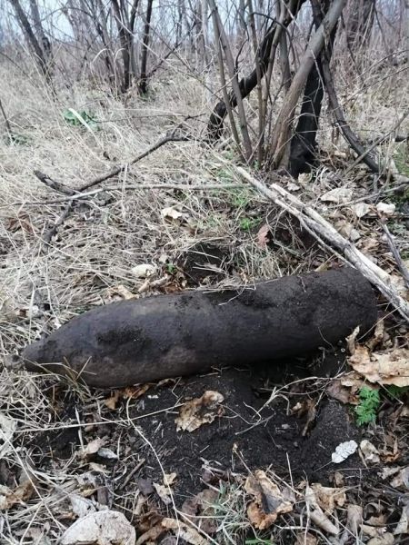 В Криворожском районе ликвидировали опасные находки (фото)