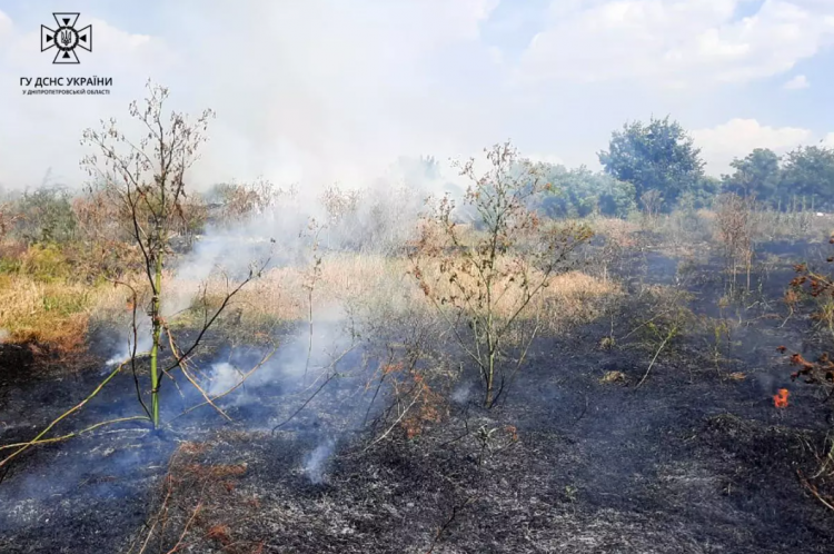 Пожежі в екосистемі Криворіжжя: рятувальники продовжують ліквідацію