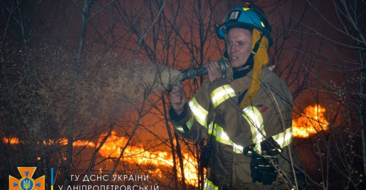 Уряд пропонує криміналізувати навмисні підпали сухостою