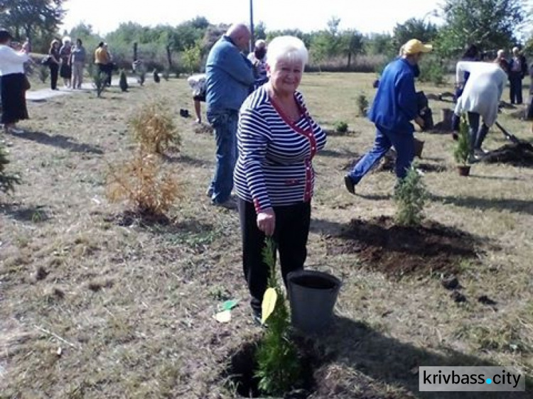 В Кривом Роге появились скульптуры из сена (ФОТО)