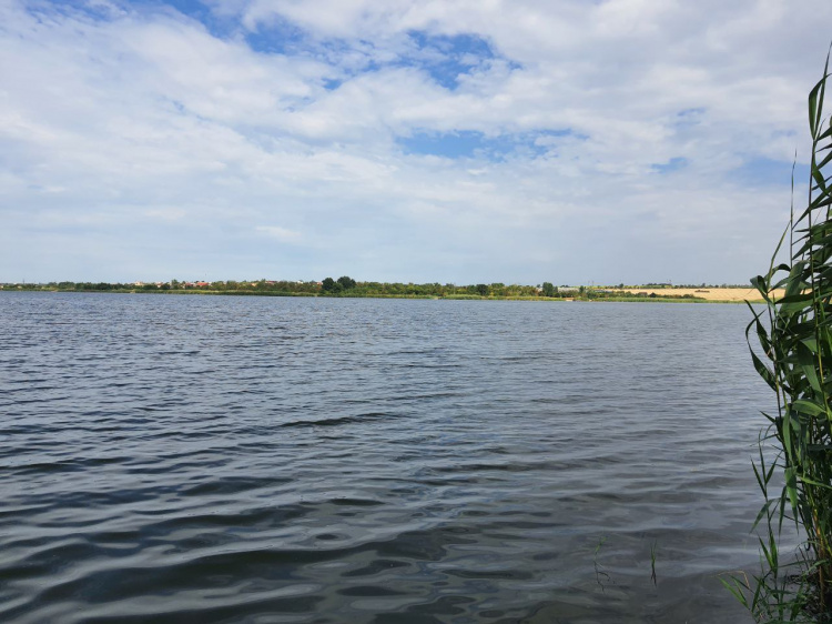 Небезпека на криворізьких пляжах: у воді виявили холерний вібріон