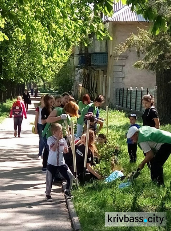 В Кривом Роге у дома творчества "Терноцвит" появились новые "зеленые" соседи (ФОТОРЕПОРТАЖ)