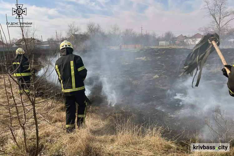 Горить і палає: за добу вогнеборці ліквідували 48 пожеж в екосистемах Дніпропетровщини