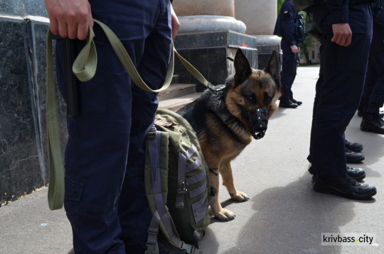 Увага! Надійшло повідомлення про замінування Криворізької загальноосвітньої школи №8 (ОНОВЛЕНО)