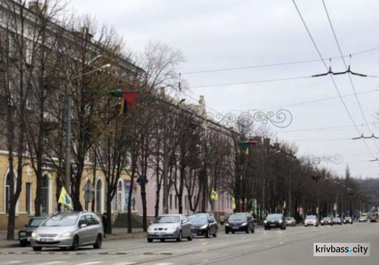 В Кривом Роге прошла акция в поддержку автомобилей на еврономерах (ФОТО)