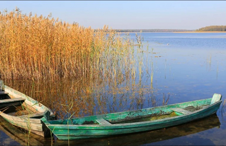 Фото із мережі Інтернет