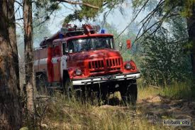 Опасное вещество: в Центрально-Городском районе Кривого Рога случилось происшествие