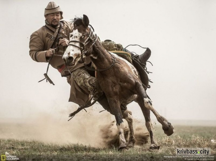 National Geographic назвал лучшее фото года