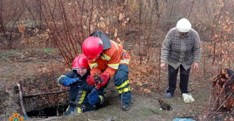 Фото ДСНС Дніпропетровської області