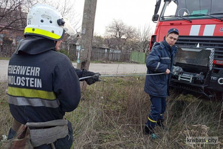 В Кривом Роге спасатели достали из ямы коня