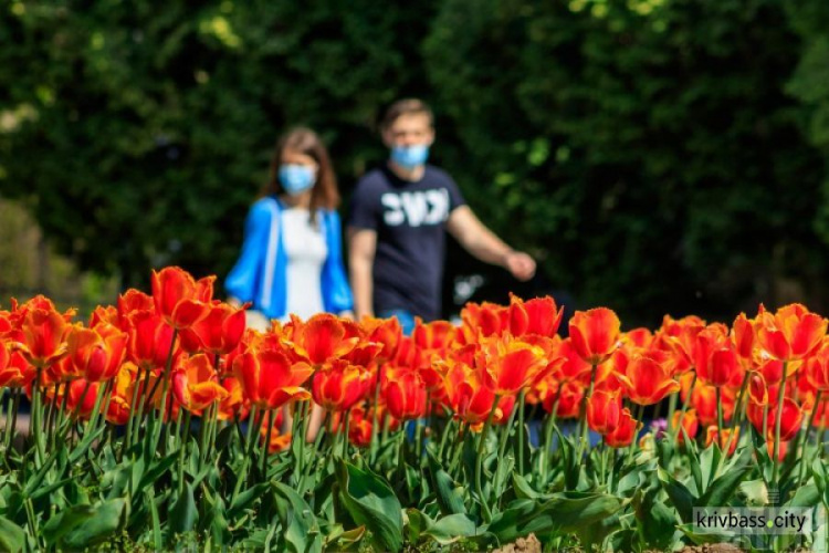 Фото із мережі Інтернет