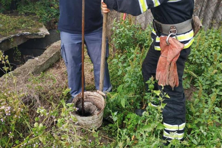 На Днепропетровщине двое щенков оказались в ловушке: на помощь пришли спасатели (фото)