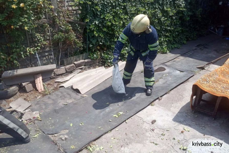 В частном доме в Ингулецком районе спасатели поймали змею