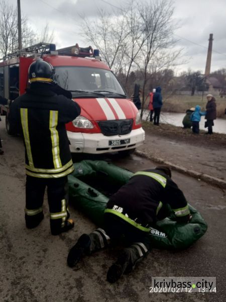 В Центрально-Городском районе спасли тонущего пса