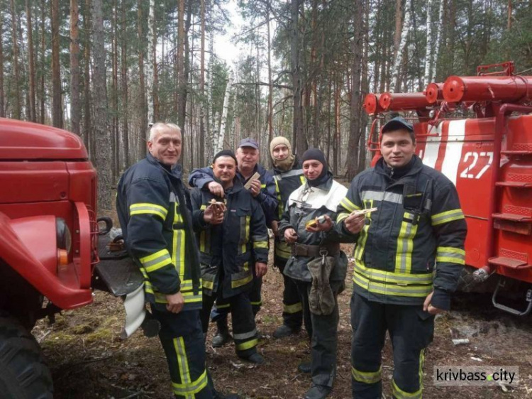 В Кривой Рог на ротацию из Чернобыльской зоны вернулись 16 спасателей