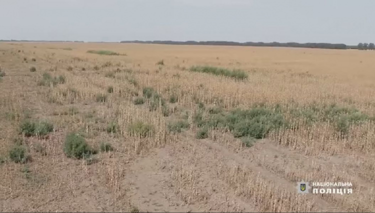 Односторонняя борьба с наркопреступностью не даст результат, - глава Нацполиции Украины