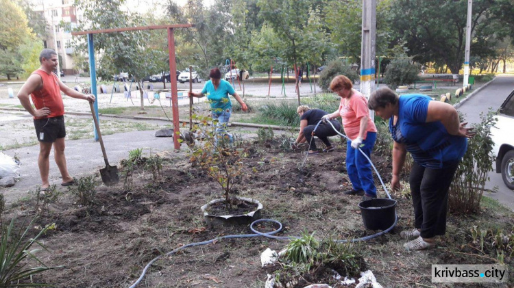 Жители улицы Водопьянова в Кривом Роге облагородили цветник (ФОТОФАКТ)