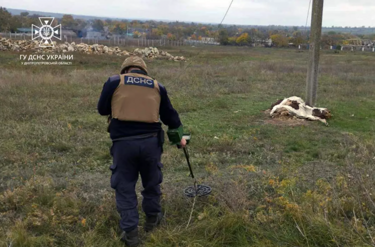 Фото: ГУ ДСНС України у Дніпропетровській області