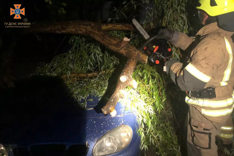 У Кривому Розі дерево впало на легковик: власнику допомагали надзвичайники