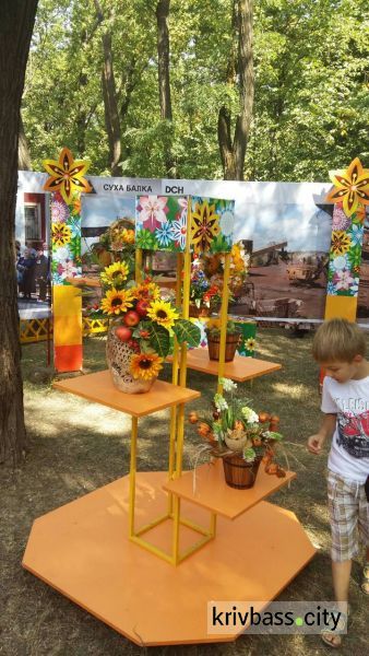 Изделия народных умельцев, фотозоны и концерт: в Покровском районе жители Кривого Рога отметили День независимости (ФОТОРЕПОРТАЖ)