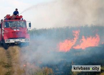 Фото з відкритих джерел