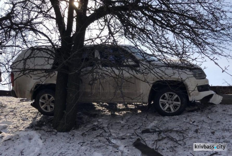 Авария в Кривом Роге: внедорожник вылетел в кювет и свалил столб (ФОТО)