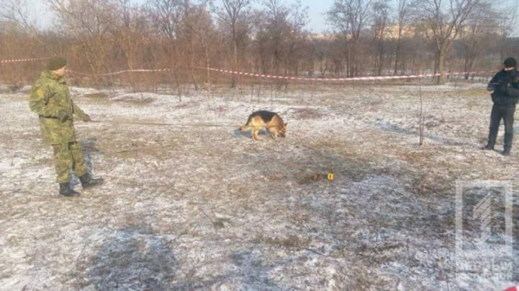 В Кривом Роге собака откопала тело ребенка