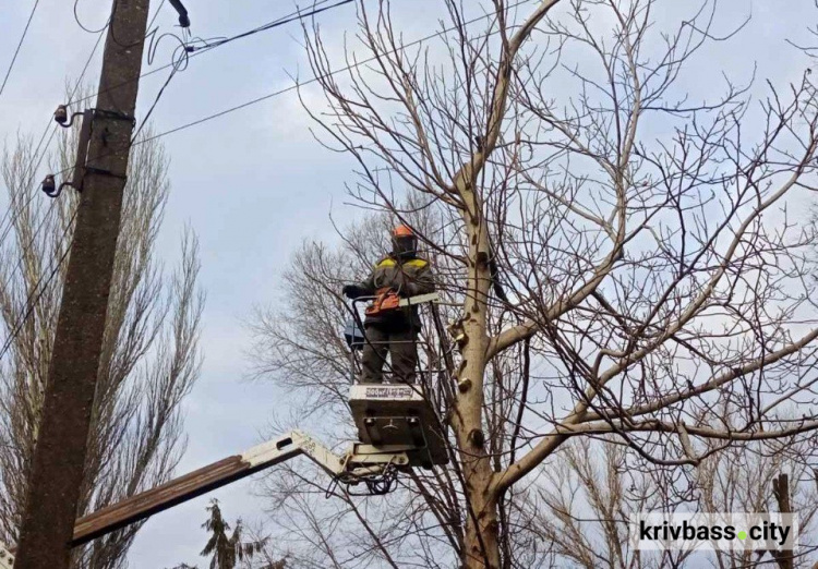 Для запобігання аваріям на Дніпропетровщині ДТЕК  розчистить від гілок понад 3 тисячі кілометрів електроліній у 2024