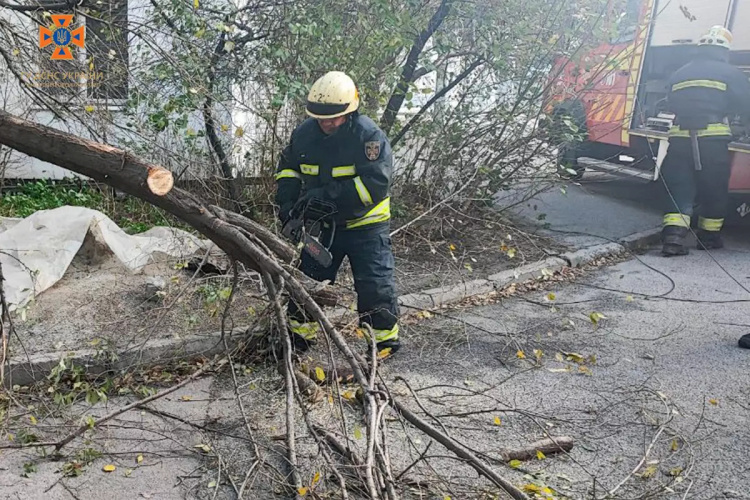 Допомагають населенню та комунальникам: на Дніпропетровщині надзвичайники ліквідовують наслідки негоди