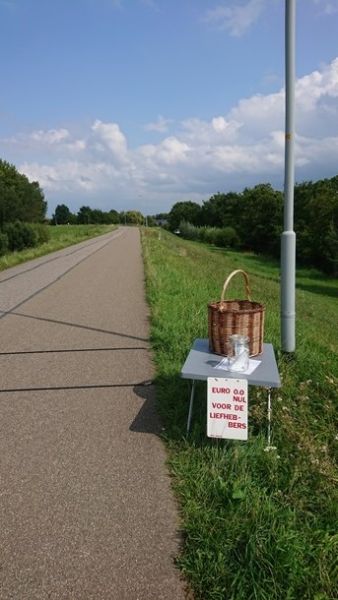 Украинец едет на велосипеде из Лондона в Киев (ФОТО)