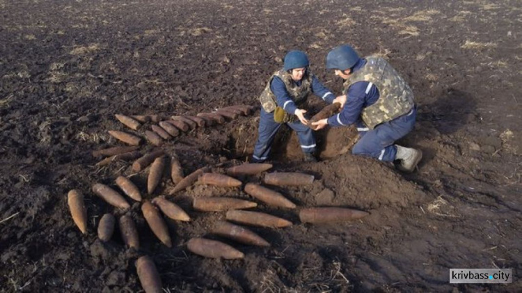 Под Кривым Рогом обнаружили крупную партию боеприпасов