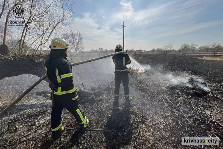 Горить і палає: за добу вогнеборці ліквідували 48 пожеж в екосистемах Дніпропетровщини